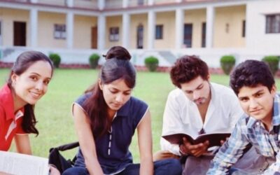 Student studying high-yield HSC Chemistry chapters using the 80/20 rule to maximize board exam marks and improve exam performance.